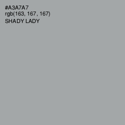 #A3A7A7 - Shady Lady Color Image